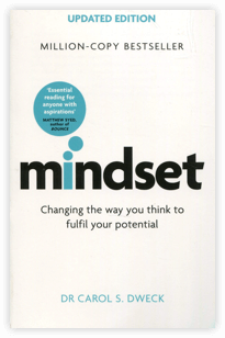 Mindset Book Preview